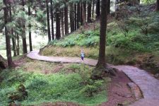 Link to Alishan Page